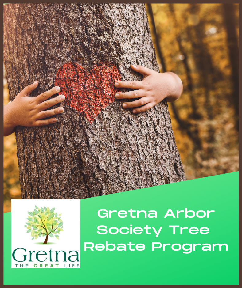 Website - Arbor Rebate