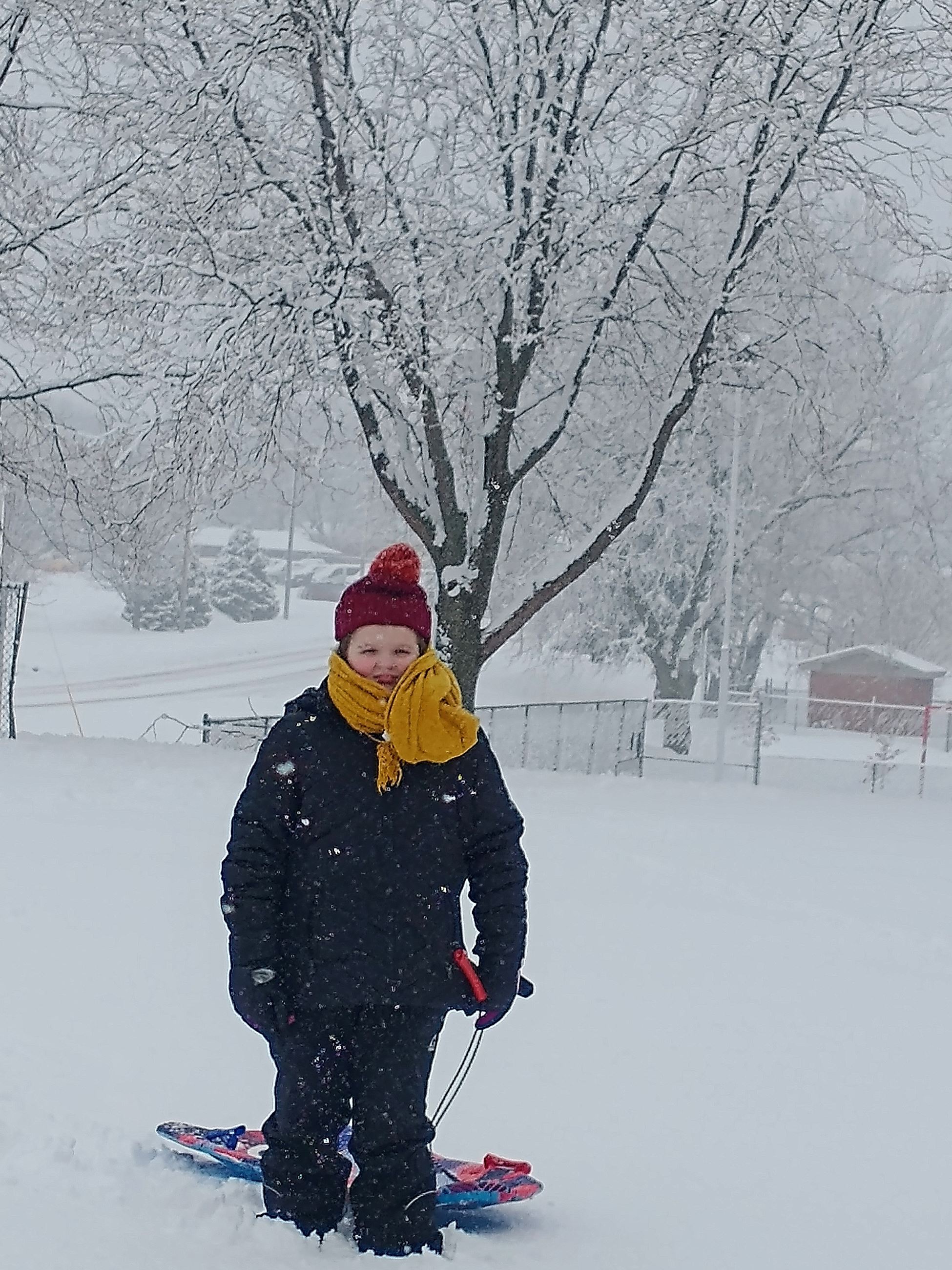 Sledding by Tennis Courts